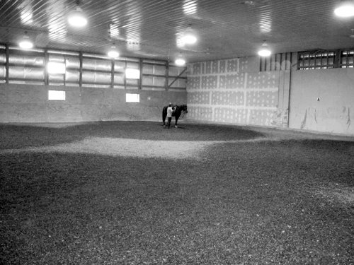 Property photo 50 - 80 Acres Offered in 4 Tracts - Horse Farm